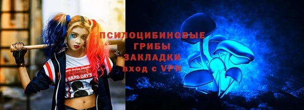 дживик Аркадак
