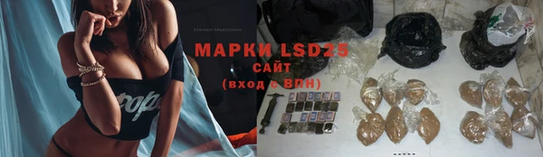 дживик Аркадак