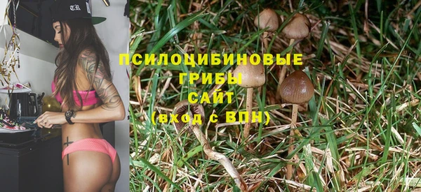 дживик Аркадак