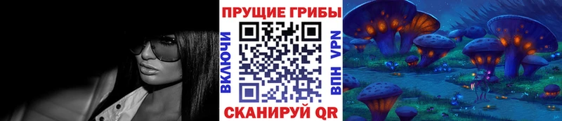 мориарти наркотические препараты  Змеиногорск  Галлюциногенные грибы Cubensis 