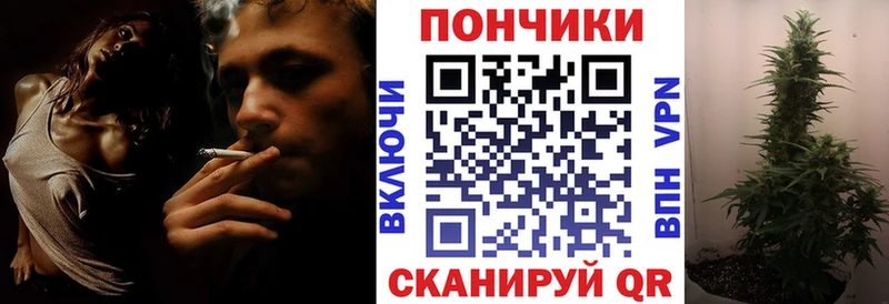 Бошки Шишки OG Kush  ссылка на мегу tor  сайты даркнета формула  Змеиногорск 
